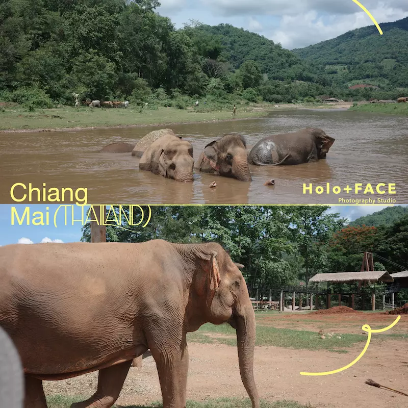 HOLO+FACE照相館|護照簽證代收 證件照 大頭照 泰國免簽證 旅遊 清邁