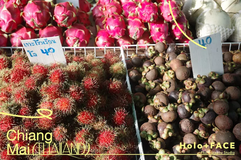 HOLO+FACE照相館|護照簽證代收 證件照 大頭照 泰國免簽證 旅遊 清邁