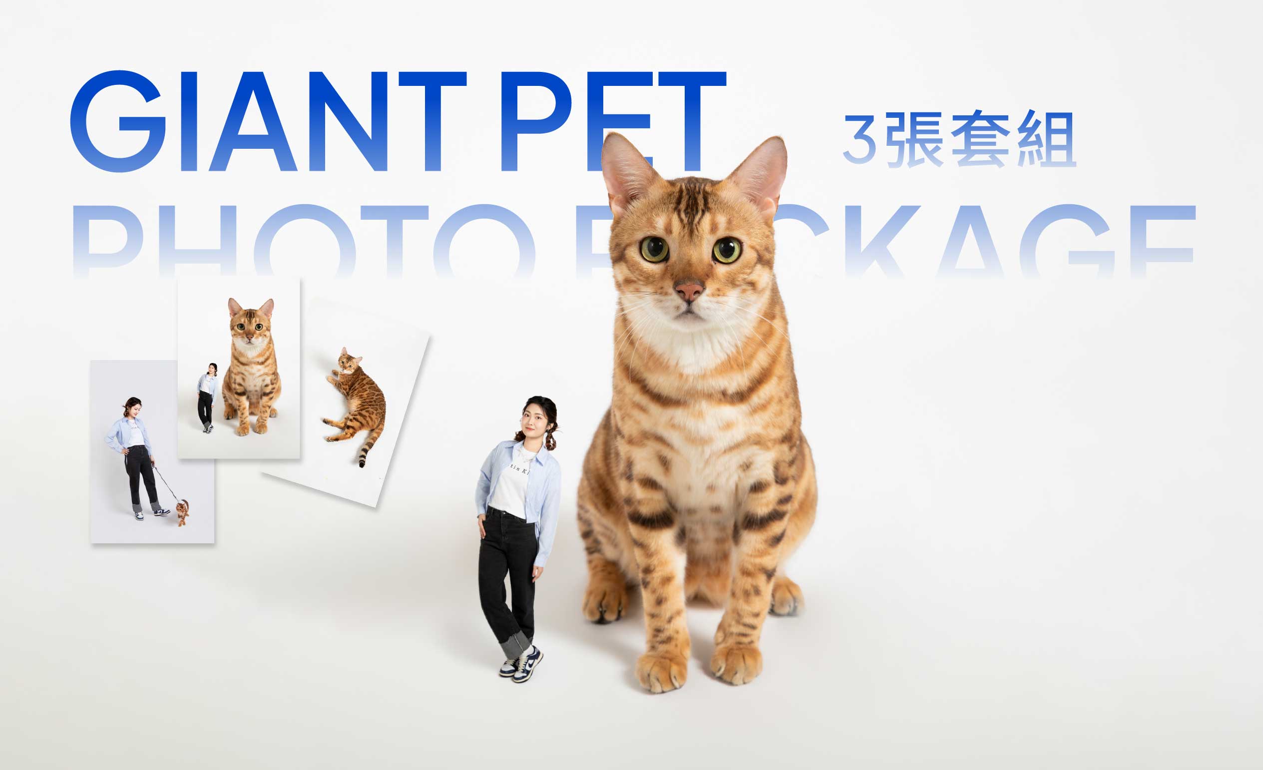 巨無霸寵物寫真 3張套組 贈 寵物郵票貼紙
