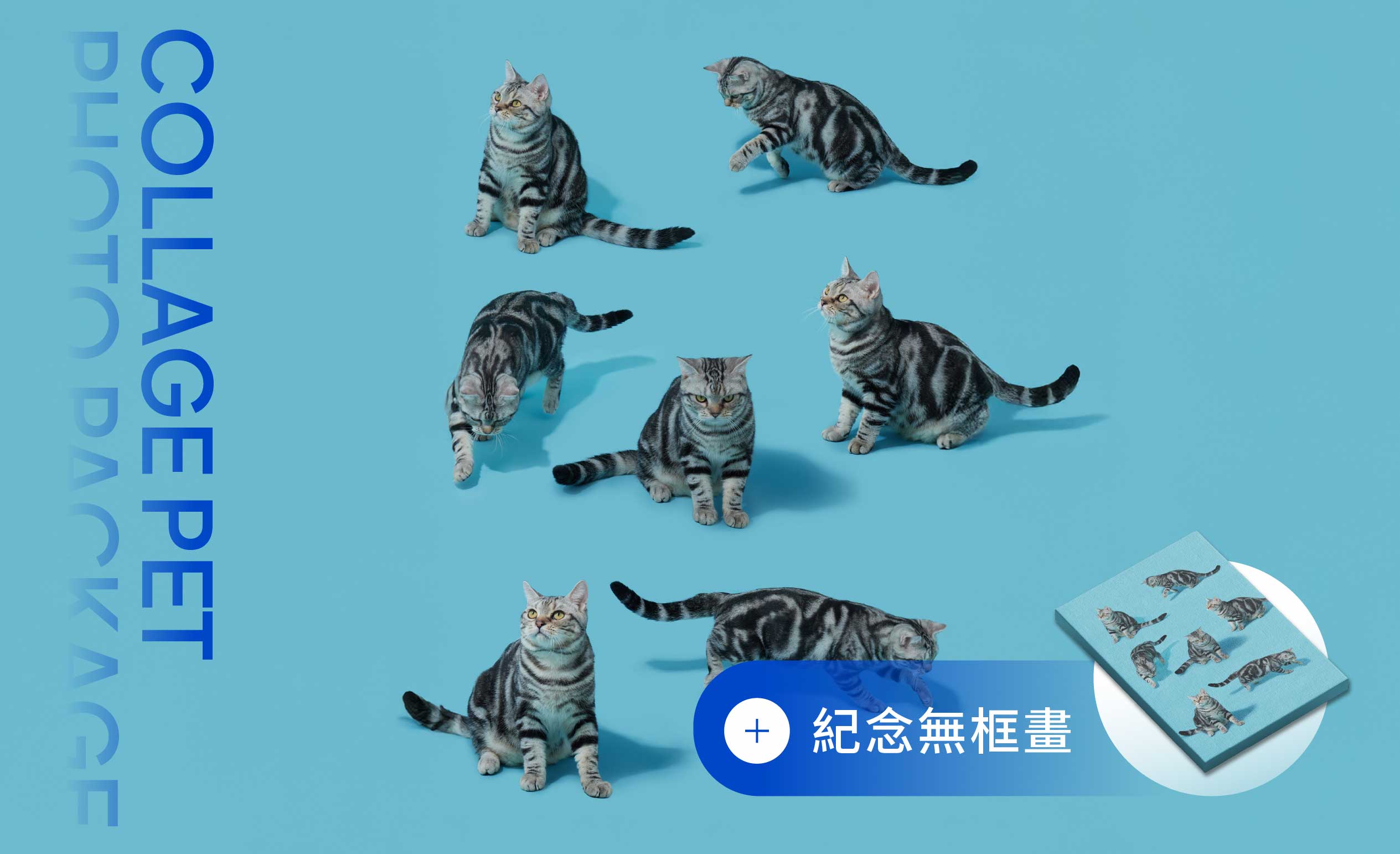 寵物拼貼寫真套組 贈 紀念無框畫＋寵物郵票貼紙